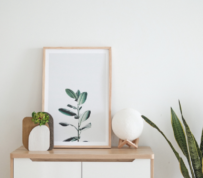 Photos d'identités draguignan